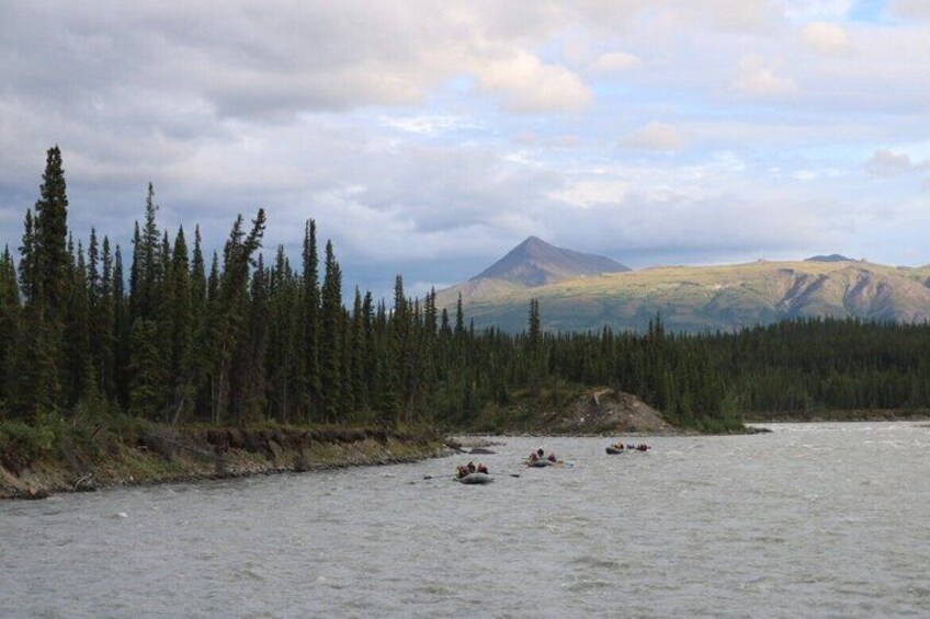A river with a forest and a mountain in the background. 5