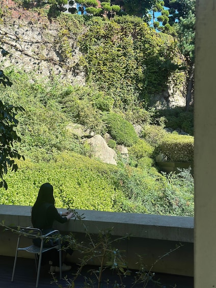 A person sitting on a chair overlooking a garden with various plants and a rock formation. 4