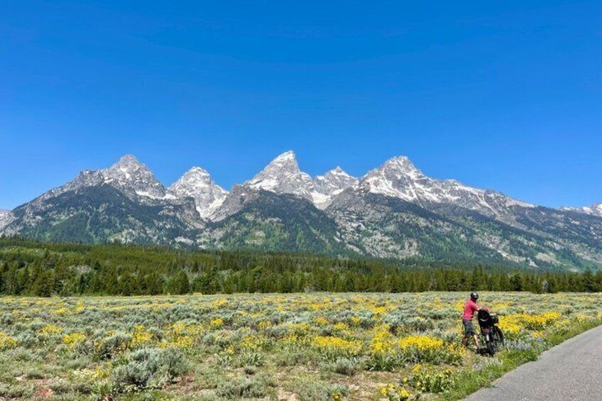 A mountain range with a person riding a bicycle. 4