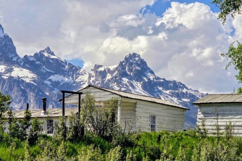A rustic cabin with a chimney, surrounded by lush greenery and snow-capped mountains in the background. 5