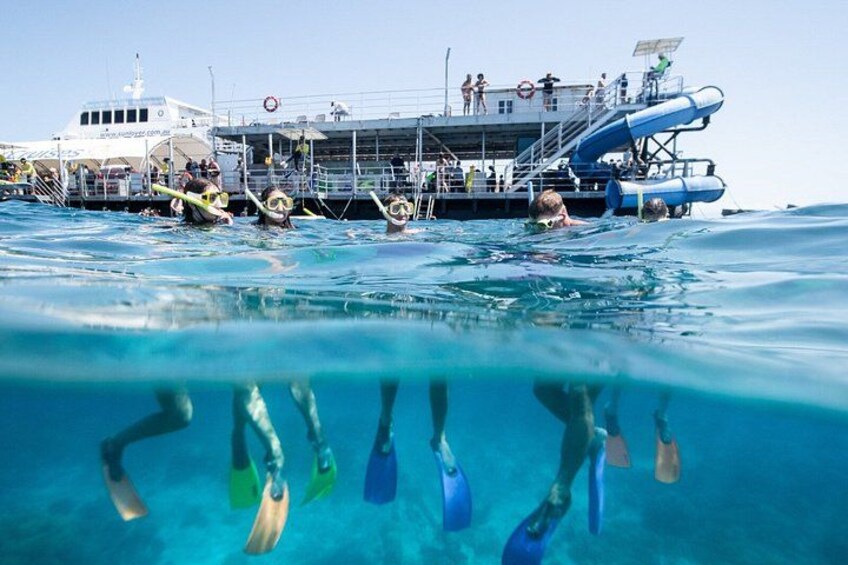 A boat with people snorkeling in the water. 4