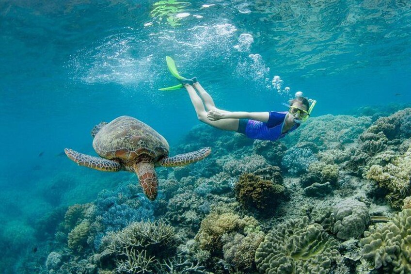 Great Barrier Reef Pontoon and Helicopter 3