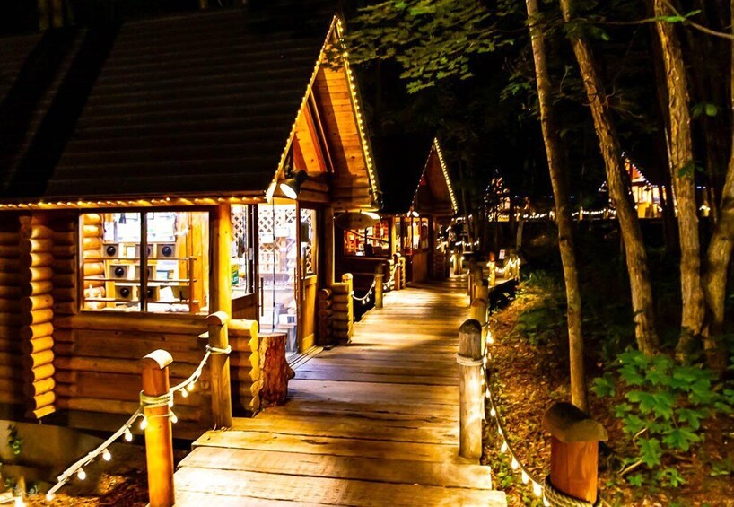 A wooden pathway leading to a row of log cabins with string lights. 1