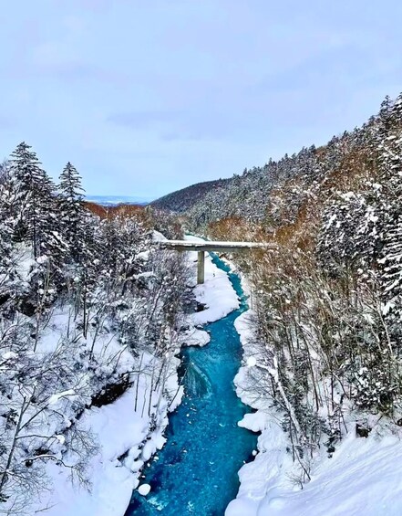 A snow-covered river with a bridge in a forested valley. 4