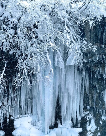 A frozen waterfall with icicles hanging from the branches of snow-covered trees. 3