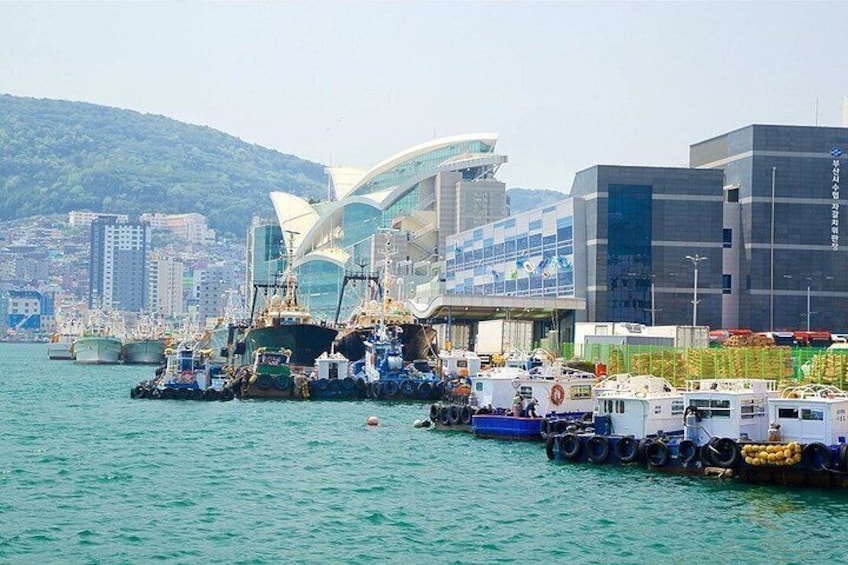 A harbor with boats, a large building with a distinctive roof, and a cityscape in the background. 5