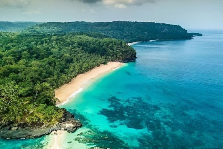 A tropical beach with clear turquoise waters, a sandy shore, and dense green vegetation. 1