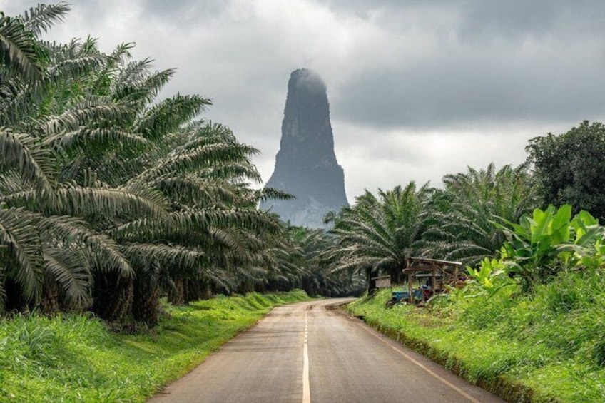 A road flanked by palm trees and a prominent mountain peak in the distance. 3
