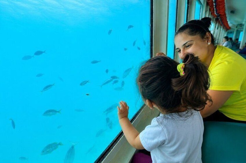 A person leaning on a window, looking at fish in the water. 2