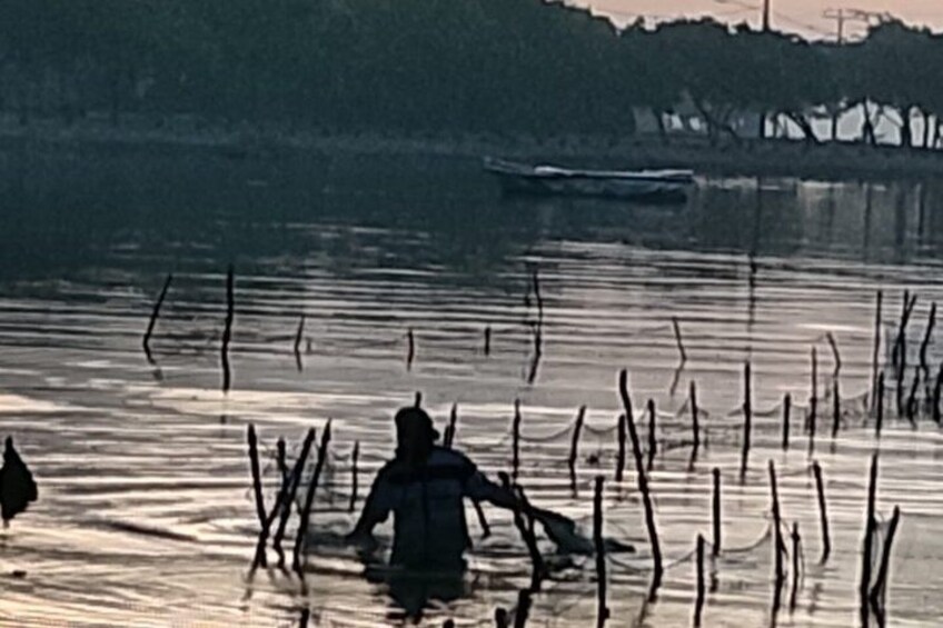 A person wading in water with reeds in the foreground and a distant shoreline. 4