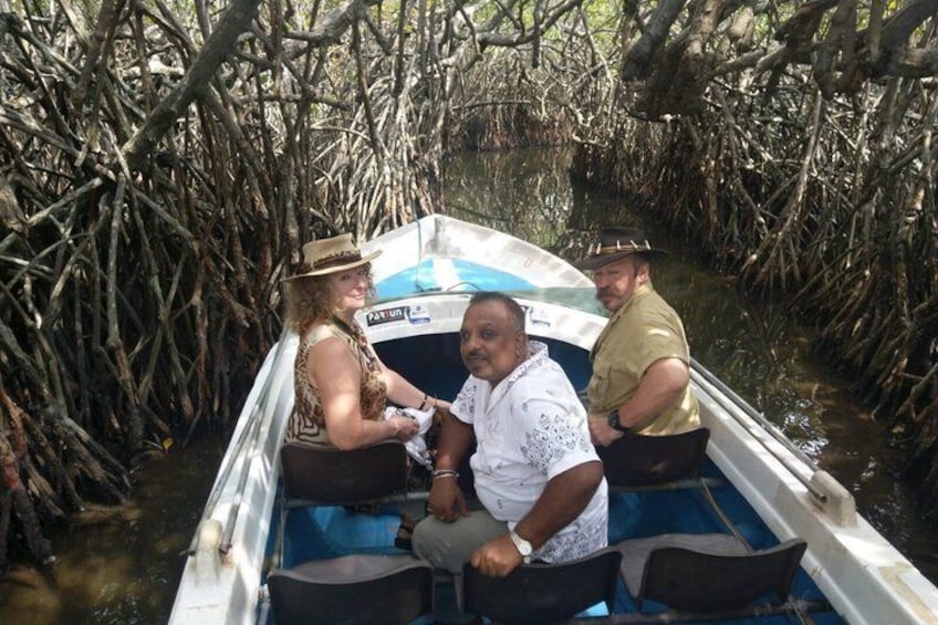A boat surrounded by mangrove trees. 2