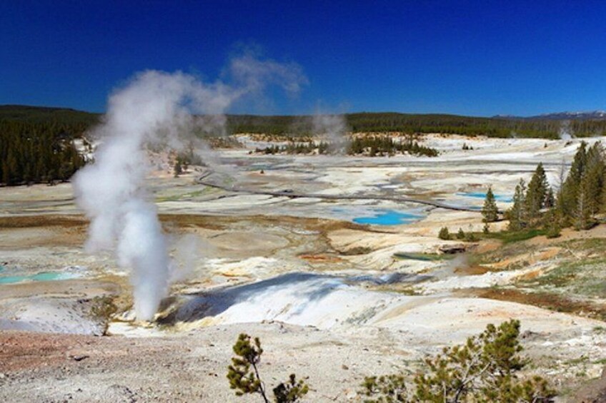 A geyser eruption with steam rising, surrounded by a landscape with pools of water and sparse vegetation. 1