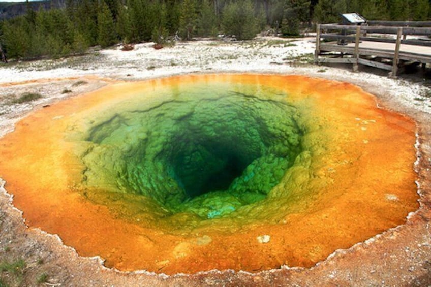 Yellowstone Grand Loop self-guided driving tour start Grant VC 5