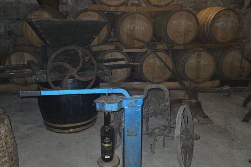 Private Peljesac and Dingac Wine Tour from Dubrovnik 3