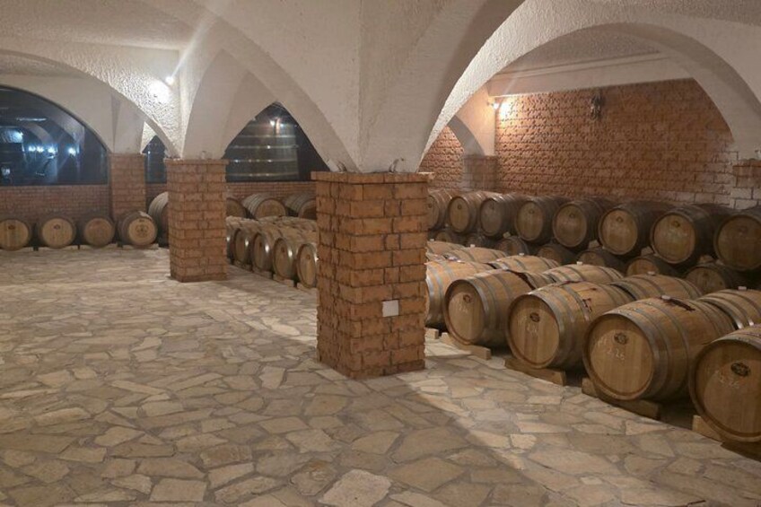 Private Peljesac and Dingac Wine Tour from Dubrovnik 5