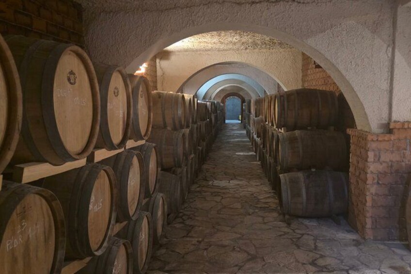 Private Peljesac and Dingac Wine Tour from Dubrovnik 4
