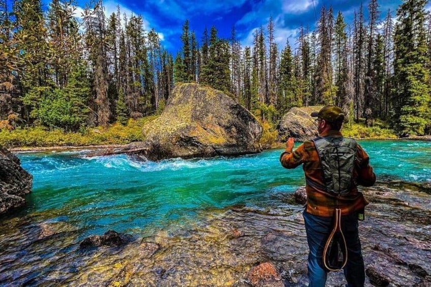 A person taking a photograph of a river with clear water, surrounded by a forest of tall trees. 5
