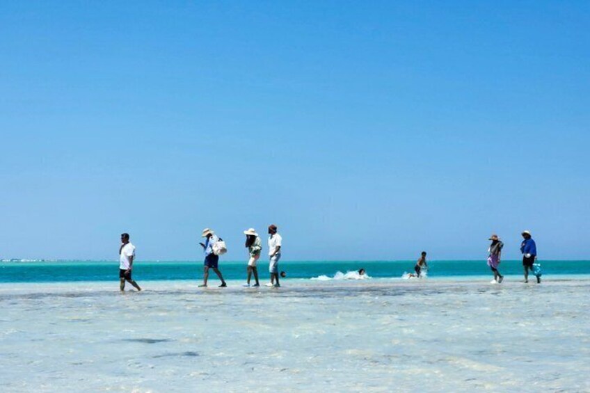 People walking on a beach with the ocean in the background. 2