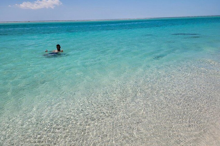 A person swimming in clear turquoise water with a sandy beach and a distant horizon. 4