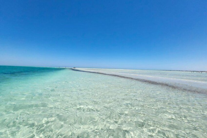 A clear blue sky, a sandy beach, and shallow turquoise water. 5