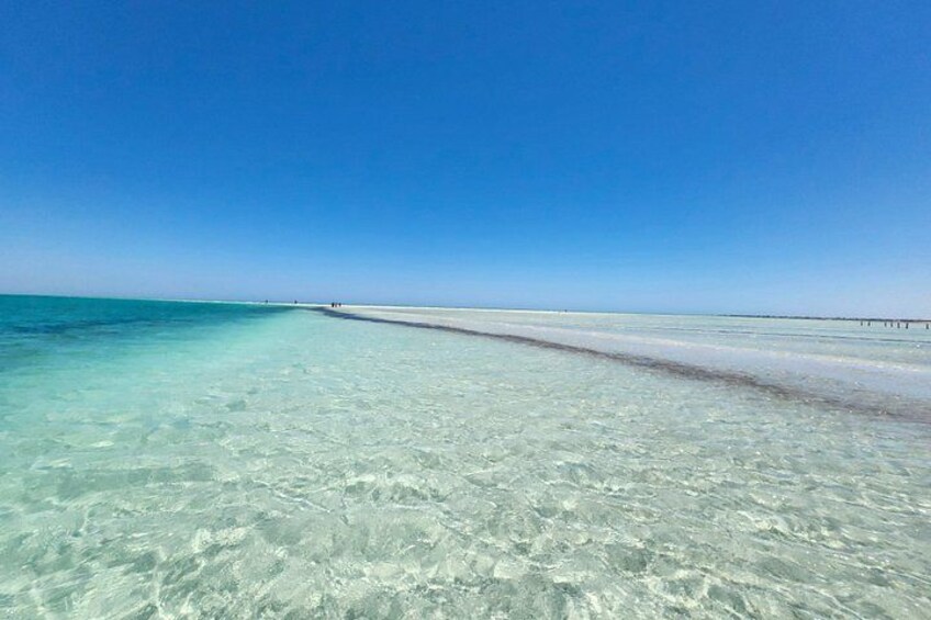 A clear blue sky, a sandy beach, and shallow turquoise water. 5