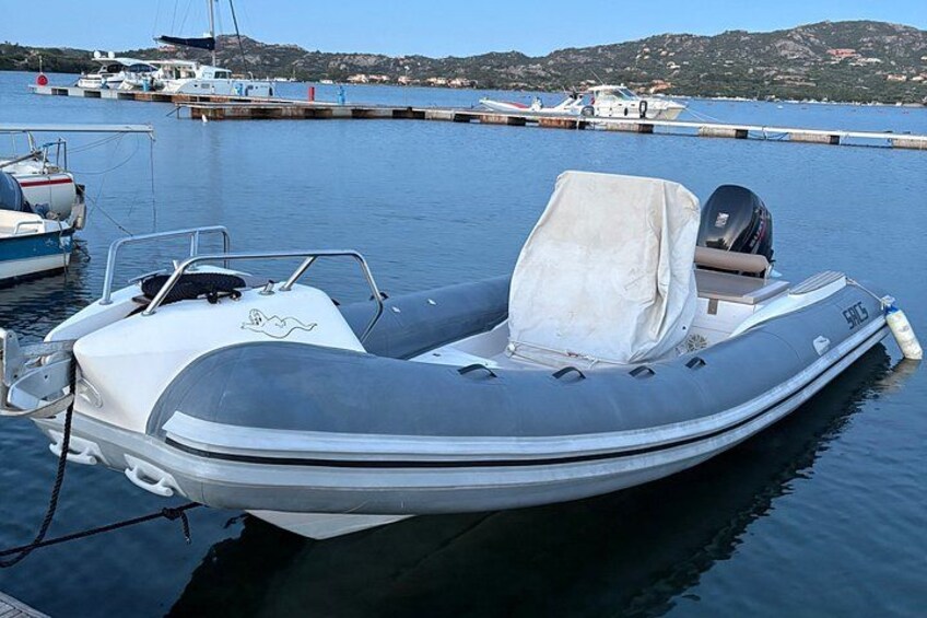 Tour on Costa Smeralda and Dolphin watching 3