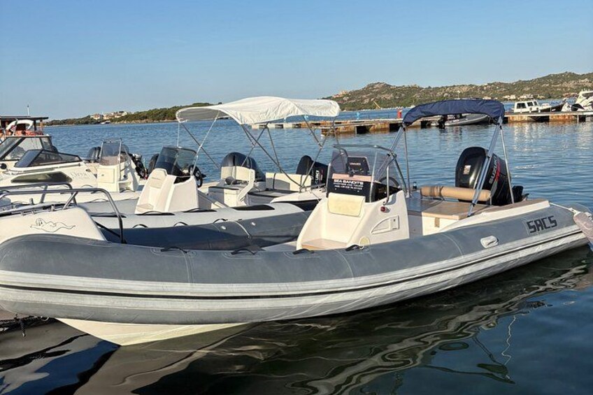 Tour on Costa Smeralda and Dolphin watching 4