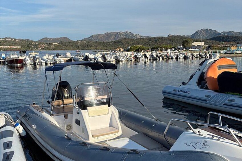 Tour on Costa Smeralda and Dolphin watching 2