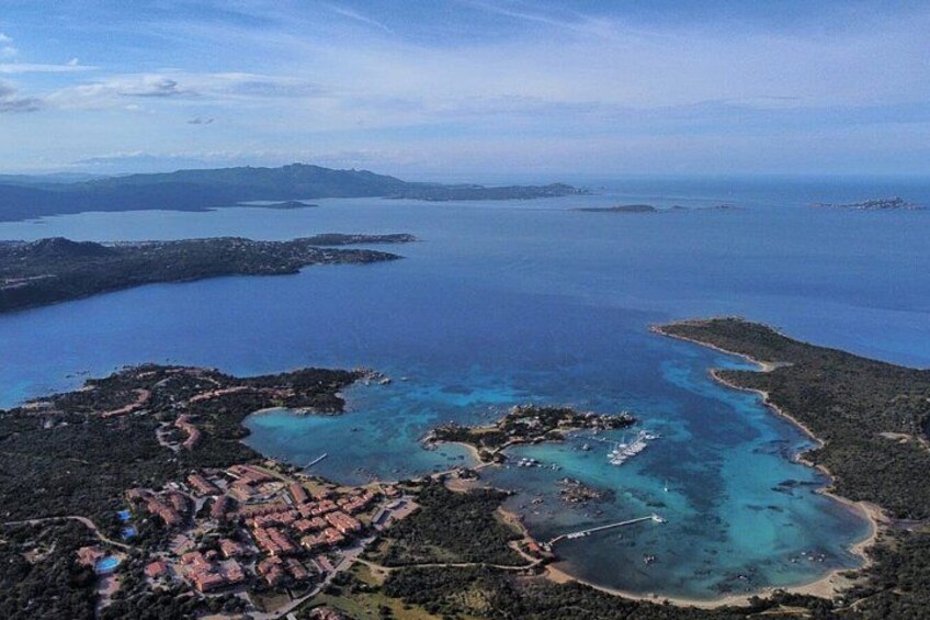 Tour on Costa Smeralda and Dolphin watching 1
