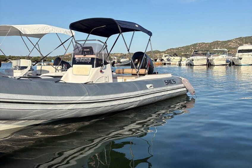 Tour on Costa Smeralda and Dolphin watching 5