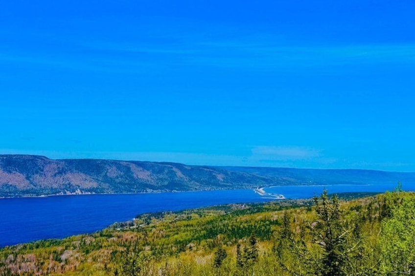 A coastal landscape with a clear blue sky, a body of water, and a forested area. 4