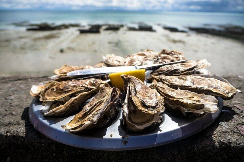 A plate of oysters on a beach with a knife and lemon wedge. 2