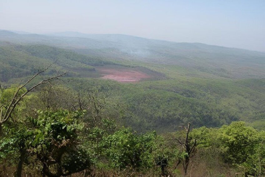 A forested landscape with a clear view of a valley and a distant hill. 3