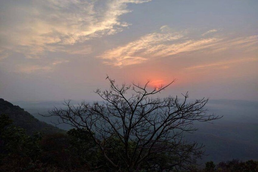 A tree silhouetted against a sunset sky. 1