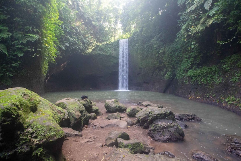 A waterfall in a forested area with moss-covered rocks and a calm river. 5