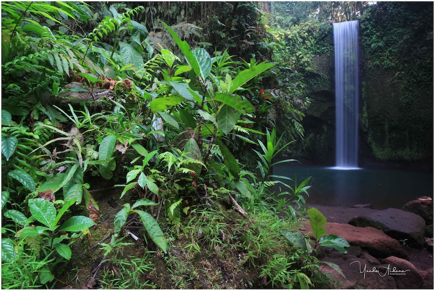 A waterfall surrounded by lush greenery. 2