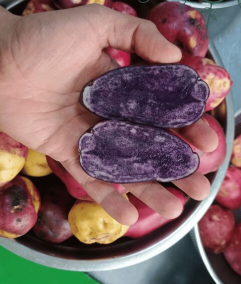 A hand holding a purple fruit, possibly a fig, with a bowl of similar fruits in the background. 4