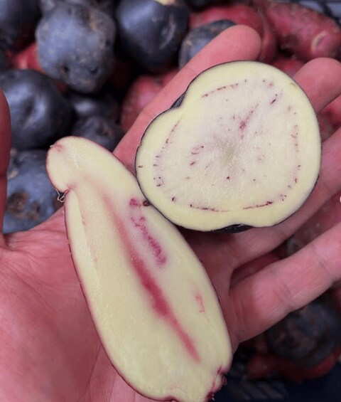 A hand holding a cut eggplant with a white interior and red veins, surrounded by whole eggplants. 3
