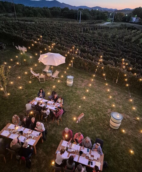 An outdoor gathering with tables set for dining, surrounded by string lights and a vineyard in the background. 5