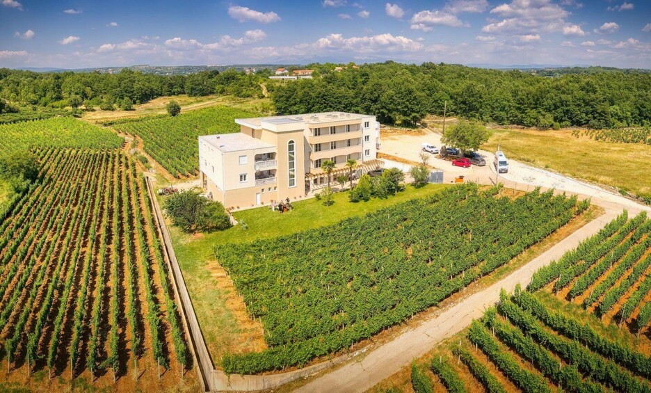 A vineyard with rows of grapevines, a multi-story building, and a parking area. 3