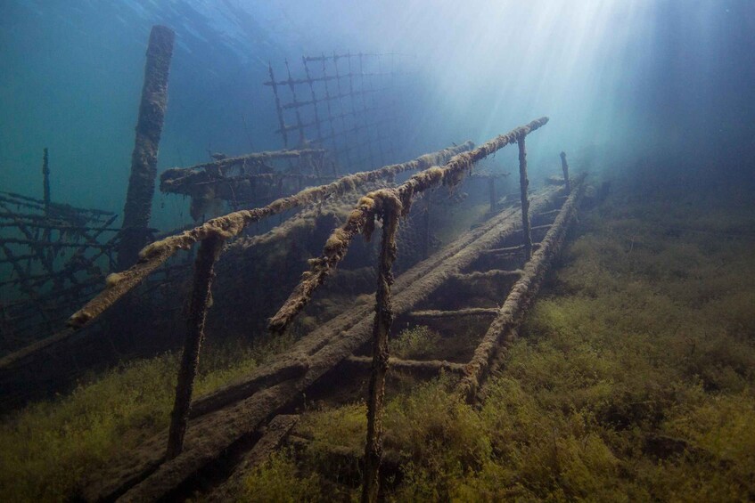 An underwater scene with a sunken structure, possibly a shipwreck, surrounded by marine vegetation. 3