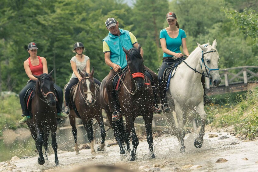 Four people riding horses on a dirt path with trees in the background. 2