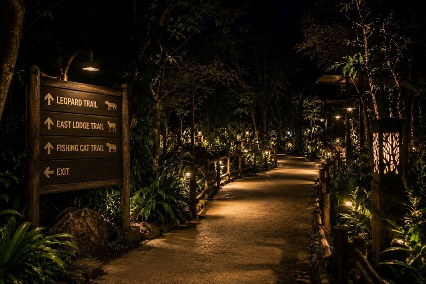 A nighttime forest path with directional signs for trails and an exit. 3