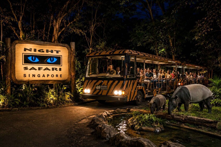 A night safari vehicle with passengers, a sign for 'NIGHT SAFARI SINGAPORE,' and hippos near a water feature. 1