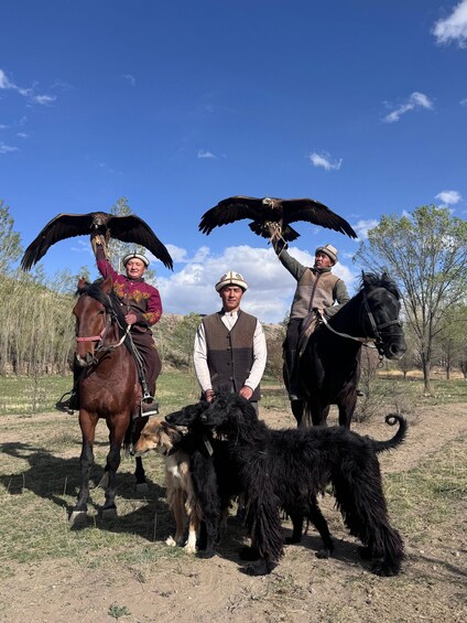 Three people with horses and dogs in an open field. 5