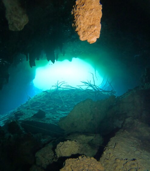 Una cueva submarina con una fuente de luz brillante, formaciones rocosas y una estructura similar a un nido. 3