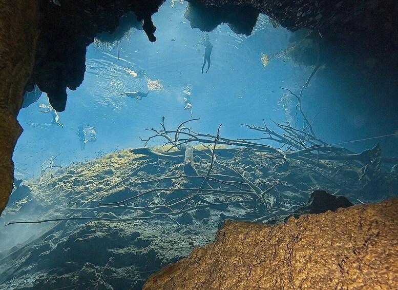 Una cueva submarina con estalactitas y un buzo explorando las profundidades. 1