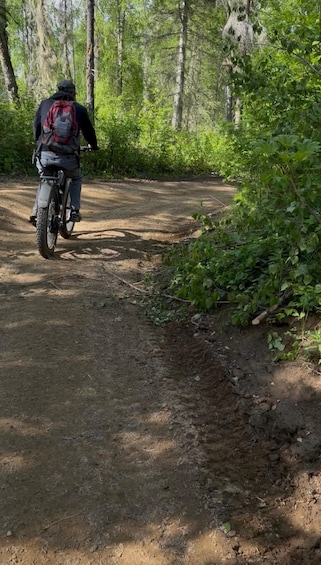 Picture 3 for Activity Talkeetna: 24-Hour Fat-Tire E-Bike Adventure Rental 2