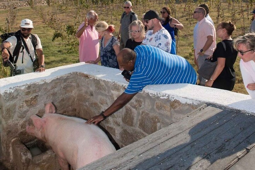 A man leaning over a stone structure with a pig inside. 3