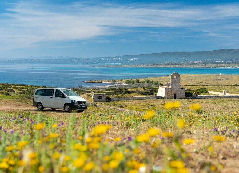 A white van parked on a grassy field with yellow flowers, a small building, and a body of water in the background. 1